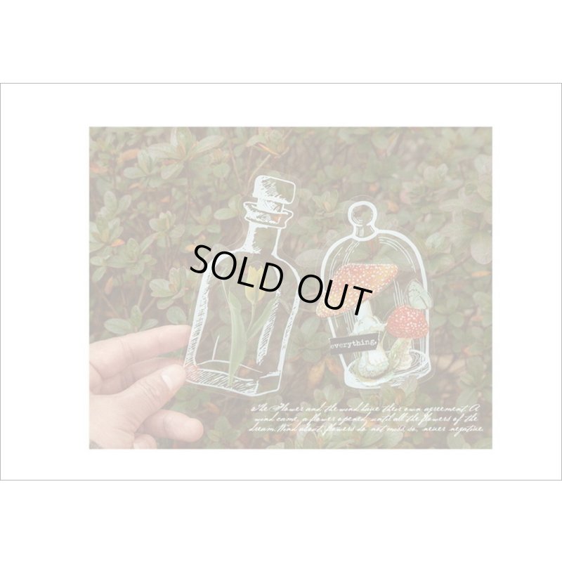 画像11: いろんなボトル♪メイソンジャー＊防水＊PETシール＊20枚＊海外製