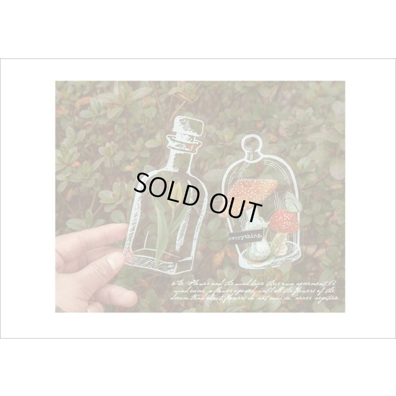 画像11: いろんなボトル♪漂流瓶＊防水＊PETシール＊20枚＊海外製