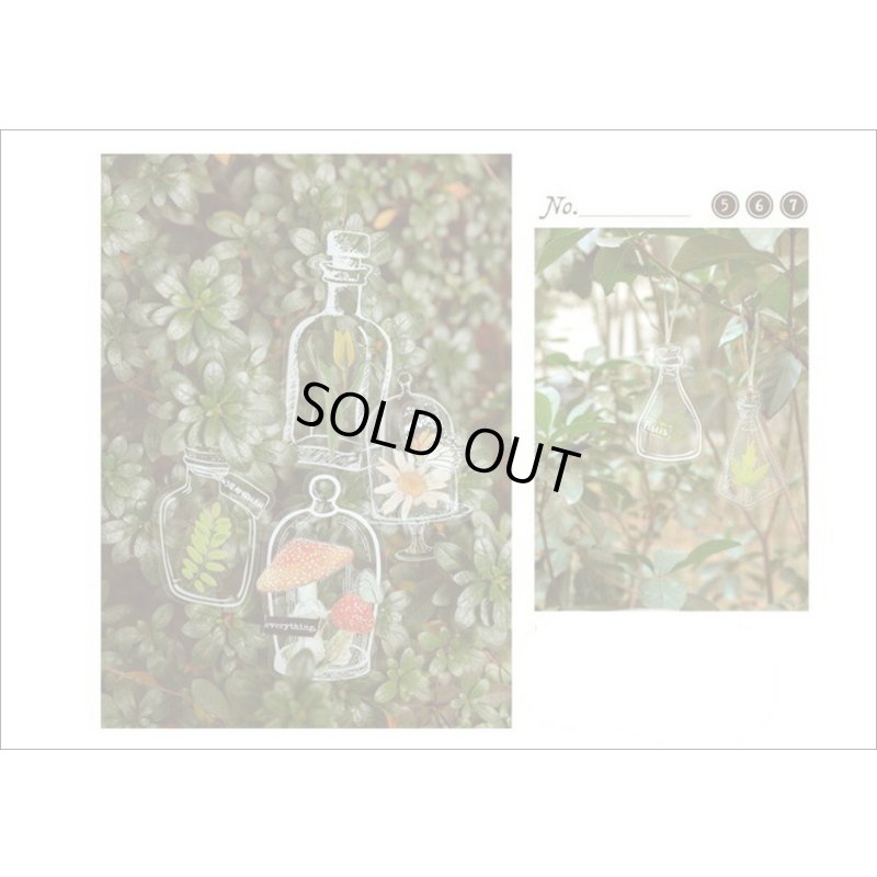 画像12: いろんなボトル♪ストレージタンク＊防水＊PETシール＊20枚＊海外製