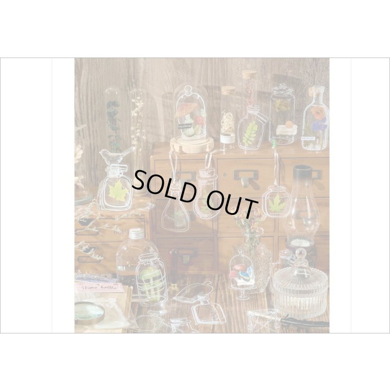 画像7: いろんなボトル♪ストレージタンク＊防水＊PETシール＊20枚＊海外製