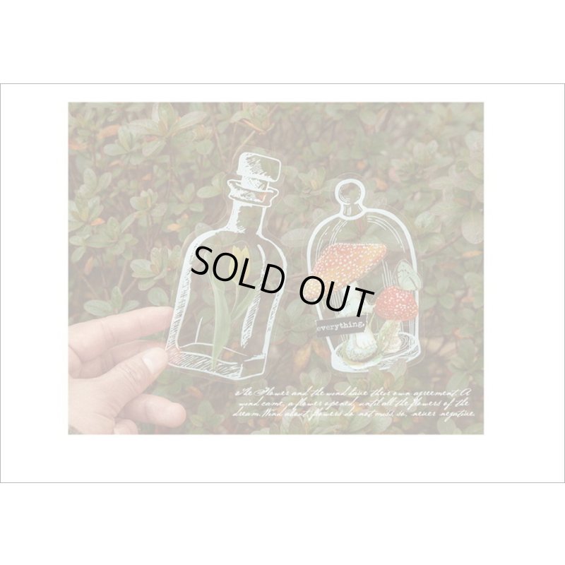 画像11: いろんなボトル♪香水瓶＊防水＊PETシール＊20枚＊海外製