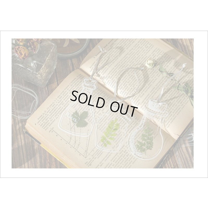 画像15: いろんなボトル♪ストレージタンク＊防水＊PETシール＊20枚＊海外製