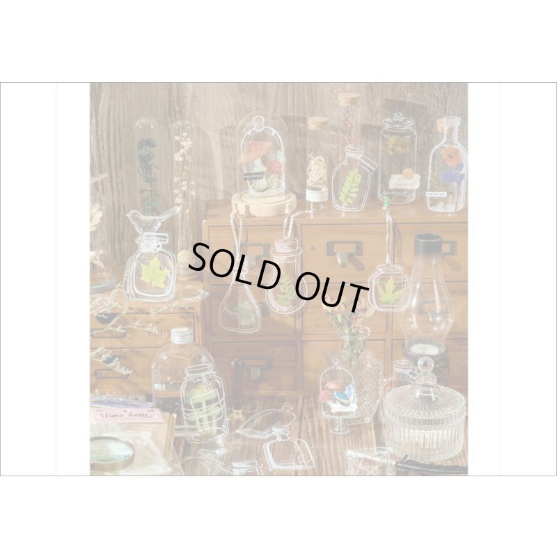 画像7: いろんなボトル♪メイソンジャー＊防水＊PETシール＊20枚＊海外製