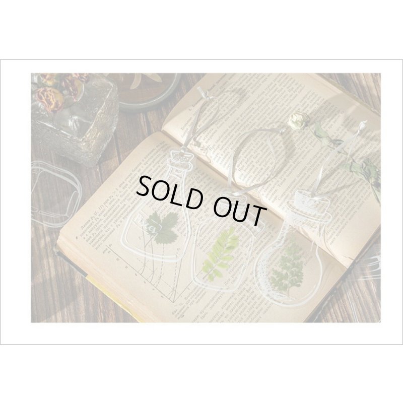 画像14: いろんなボトル♪香水瓶＊防水＊PETシール＊20枚＊海外製