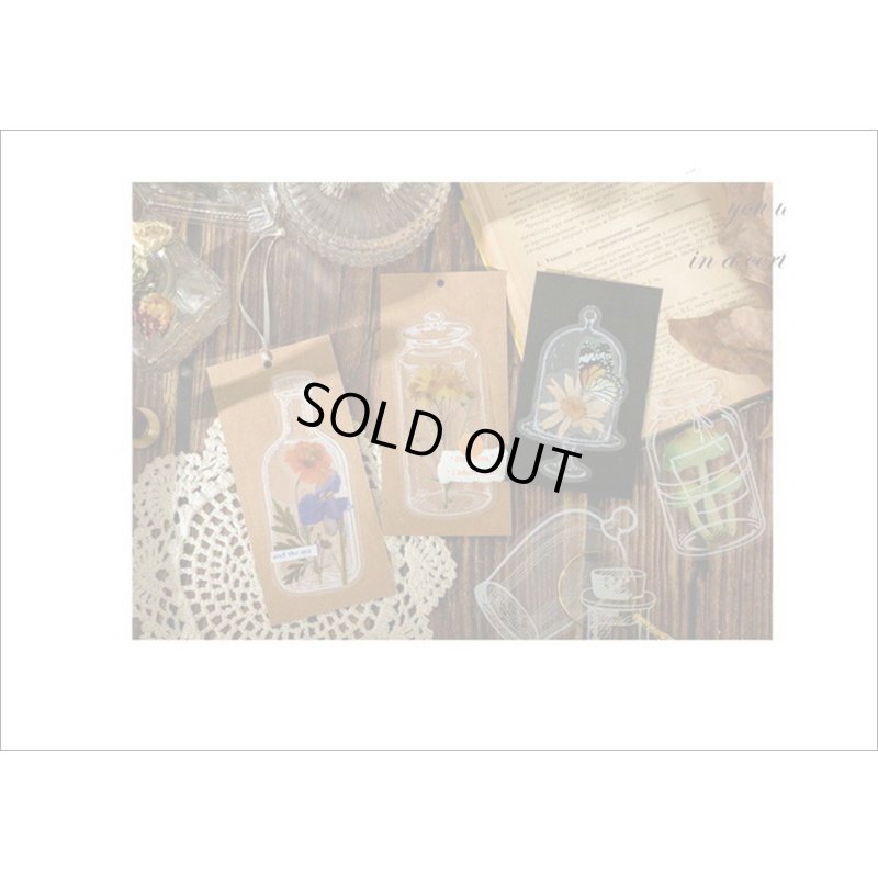 画像8: いろんなボトル♪メイソンジャー＊防水＊PETシール＊20枚＊海外製