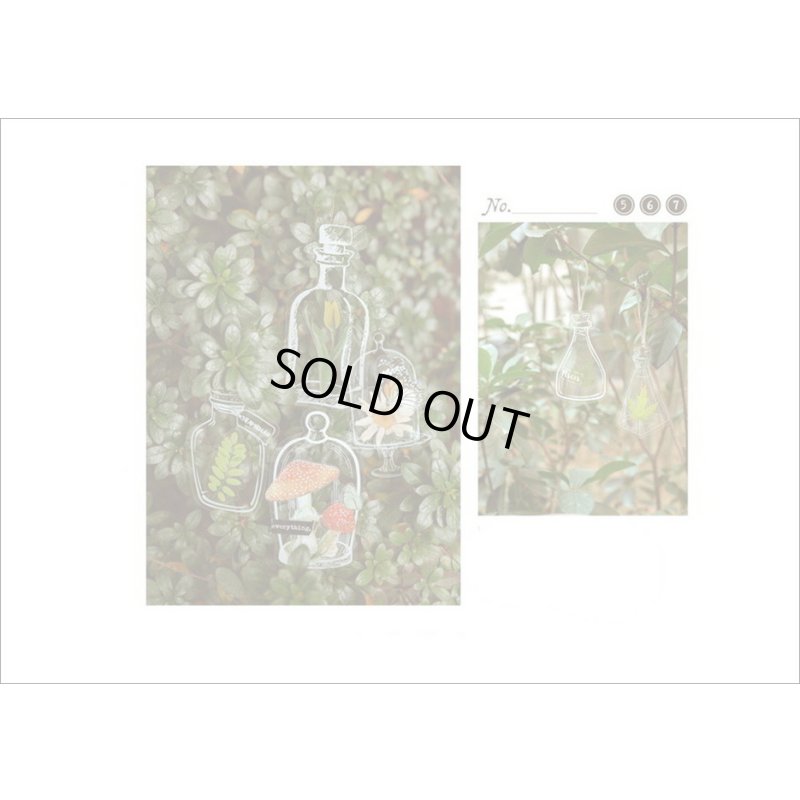 画像12: いろんなボトル♪メイソンジャー＊防水＊PETシール＊20枚＊海外製