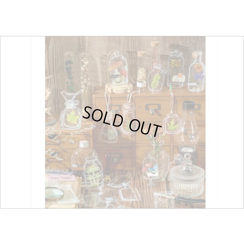 画像6: いろんなボトル♪香水瓶＊防水＊PETシール＊20枚＊海外製