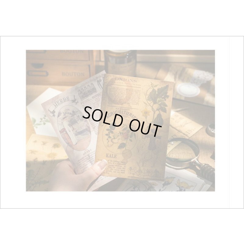 画像10: コーヒー染め風＊2種のペーパーセット＊マンデリン・明細書＊20枚＊海外製