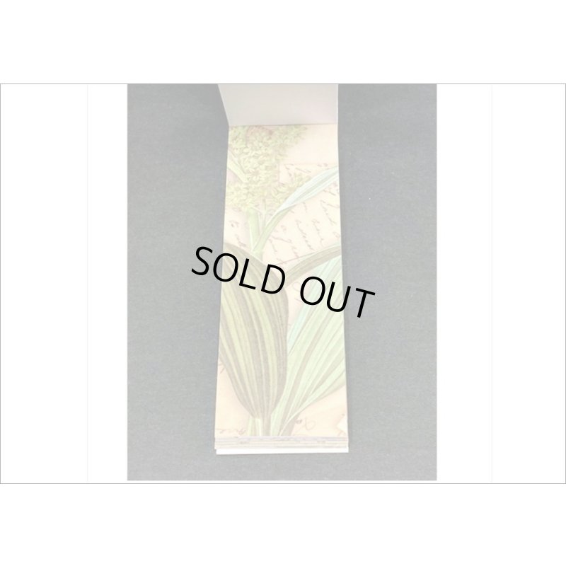 画像7: 全部柄違いのミニシール💓葉っぱ＊和紙シール＊50枚＊海外製