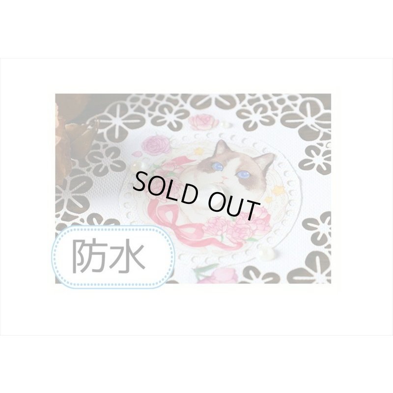 画像9: フルーツ＊防水♪PET＊デコステッカー♪＊海外製