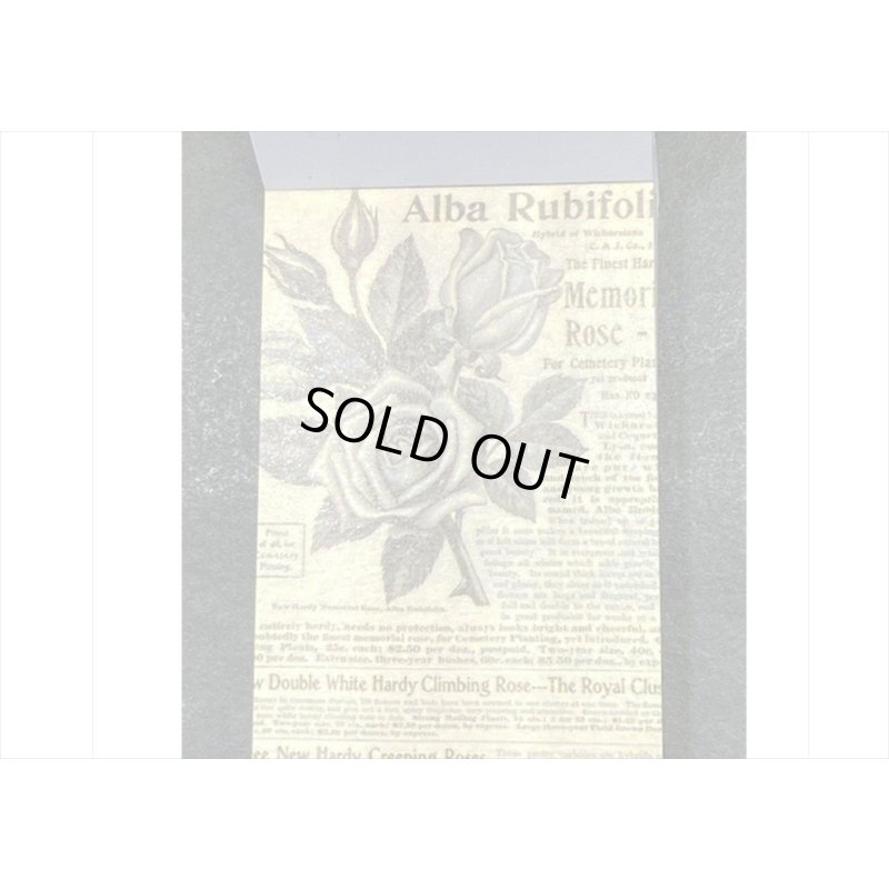 画像9: モノクロ＊ミニサイズ＊柄違い＊和紙シール＊50枚＊海外製