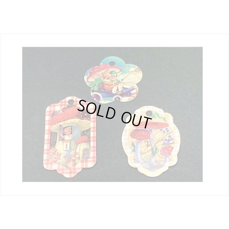 画像7: ドライフラワーを添えて🌸きのこ童話＊タグ＆和紙シール＊30点セット＊海外製