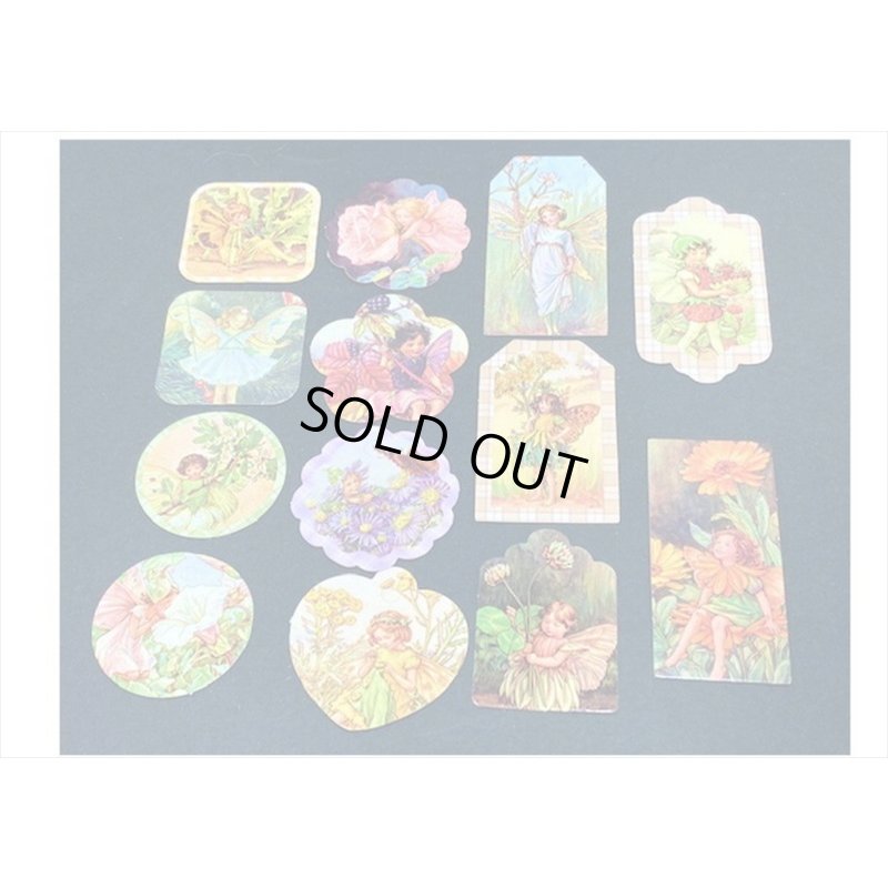 画像5: ドライフラワーを添えて🌸花の妖精＊タグ＆和紙シール＊30 点セット＊海外製
