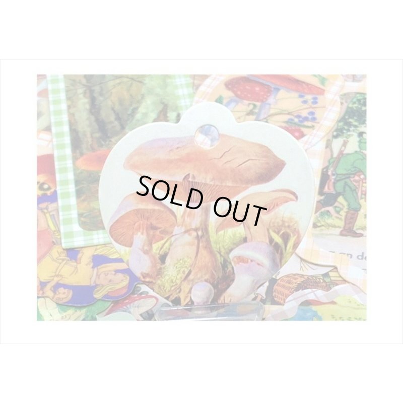 画像3: ドライフラワーを添えて🌸きのこ童話＊タグ＆和紙シール＊30点セット＊海外製