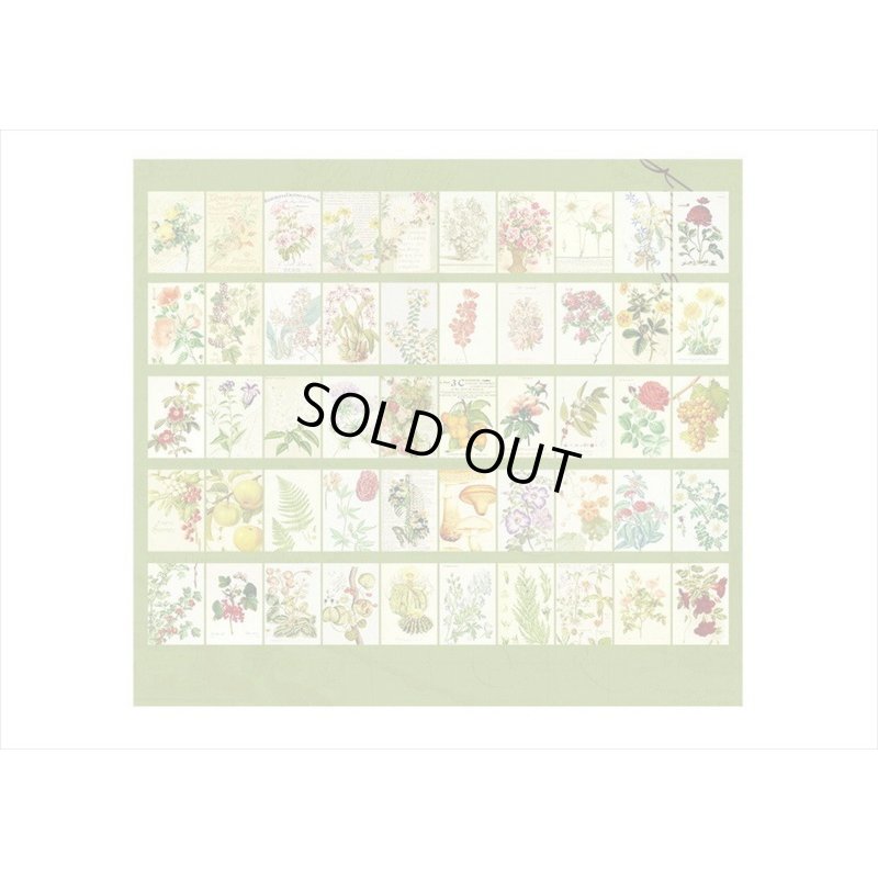 画像6: 野の花＊ミニサイズ＊柄違い＊和紙シール＊50枚＊海外製
