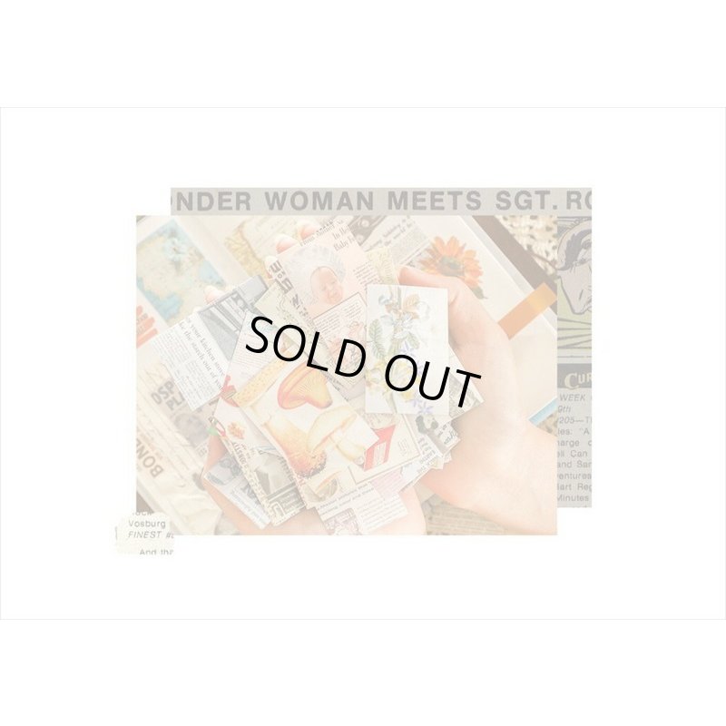 画像12: 野の花＊ミニサイズ＊柄違い＊和紙シール＊50枚＊海外製