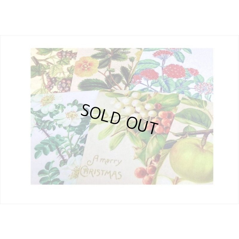 画像5: 野の花＊ミニサイズ＊柄違い＊和紙シール＊50枚＊海外製