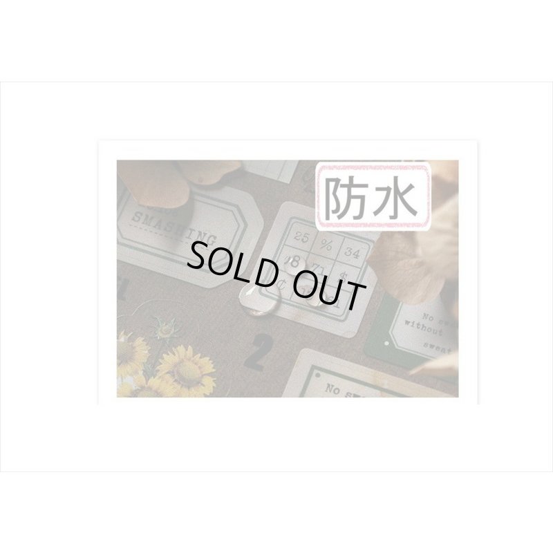 画像14: 防水PETシール帳＊山のそよ風＊ダイカット＊20シート＊海外製