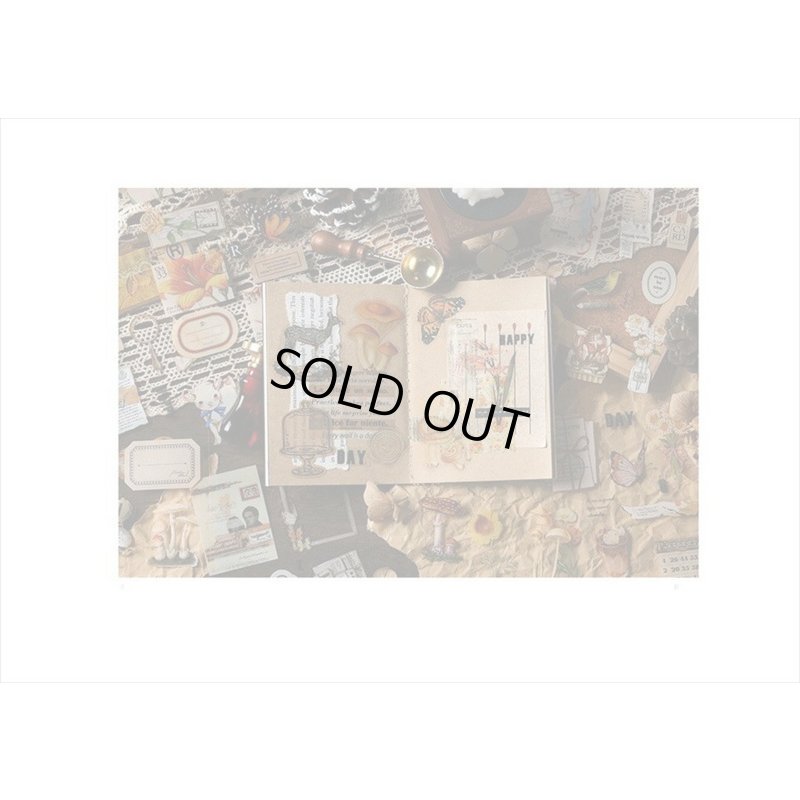 画像15: 防水PETシール帳＊山のそよ風＊ダイカット＊20シート＊海外製