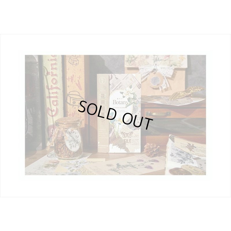 画像9: 素材集＊植物＊ペーパーセット＊60枚＊海外製