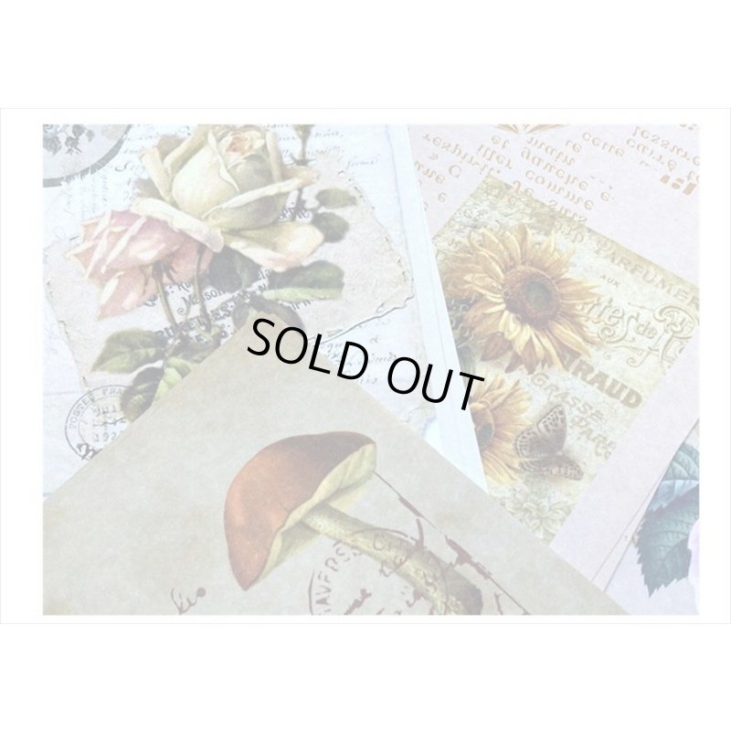 画像4: 素材集＊植物＊ペーパーセット＊60枚＊海外製