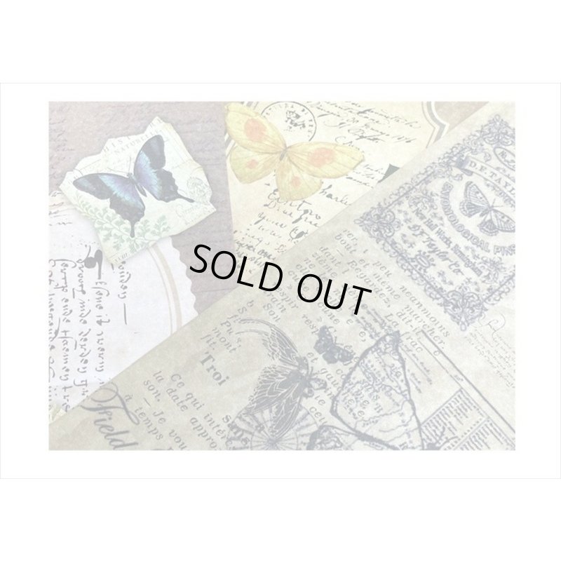 画像3: 素材集＊バタフライ＊ペーパーセット＊60枚＊海外製