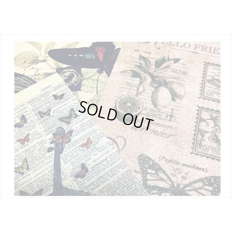 画像4: 素材集＊バタフライ＊ペーパーセット＊60枚＊海外製