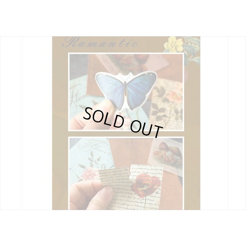 画像16: 植物と蝶々＊いろいろ100点セット💓＊海外製