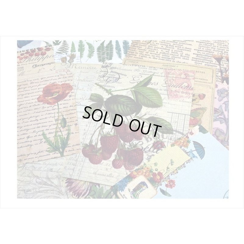 画像11: 植物と蝶々＊いろいろ100点セット💓＊海外製