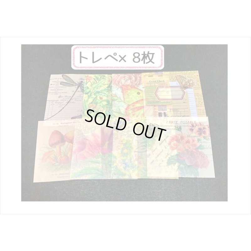 画像6: 植物と蝶々＊いろいろ100点セット💓＊海外製