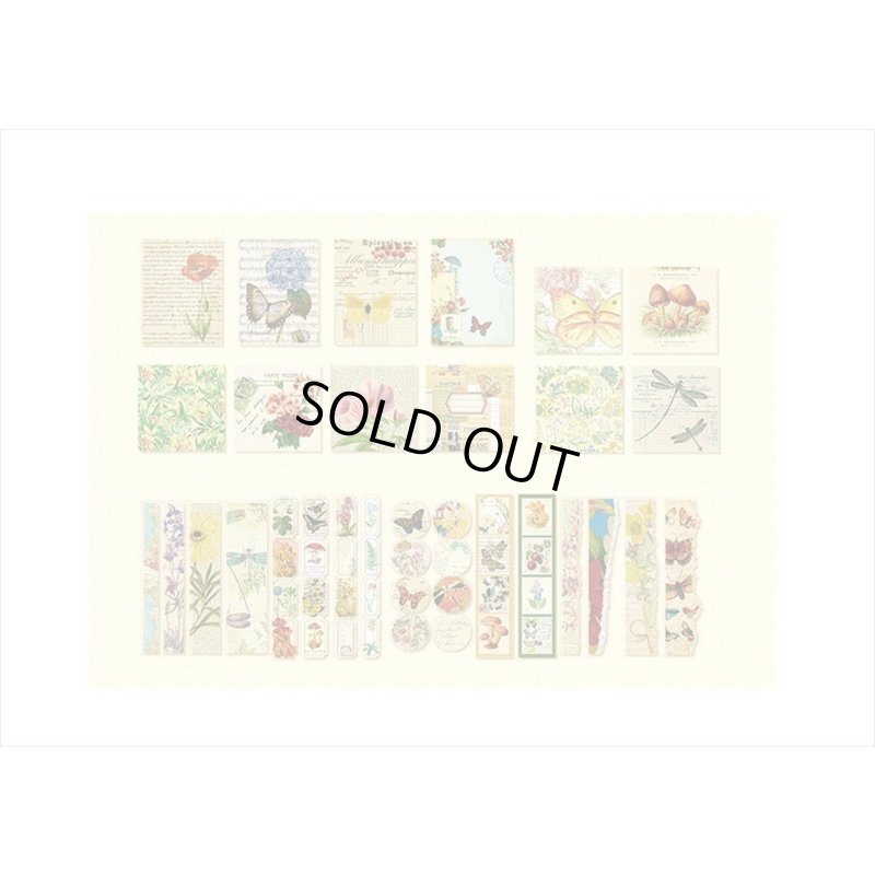 画像13: 植物と蝶々＊いろいろ100点セット💓＊海外製