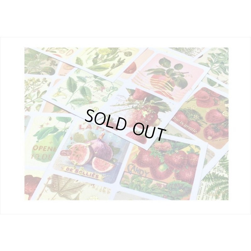 画像3: 箔押し☆和紙シール帳＊植物＊カット入り＊柄違い＊20シート＊海外製