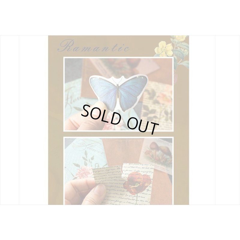 画像17: シルエット＊いろいろ100点セット💓＊海外製