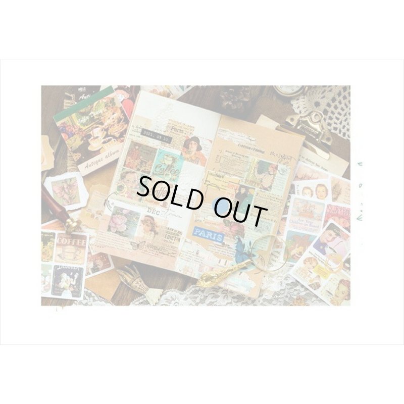 画像19: 箔押し☆和紙シール帳＊アニマル＊カット入り＊柄違い＊20シート＊海外製