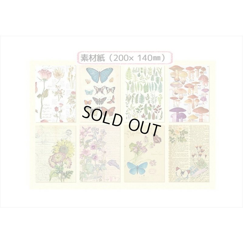 画像12: 植物と蝶々＊いろいろ100点セット💓＊海外製