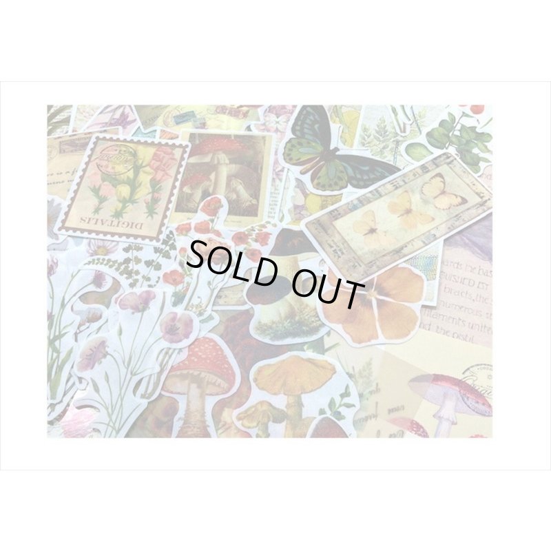 画像8: 植物と蝶々＊いろいろ100点セット💓＊海外製