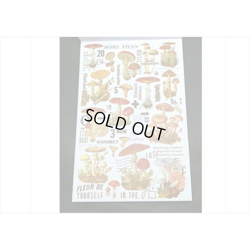 画像16: 50シート❕大きな和紙シール帳＊シューベルト＊海外製