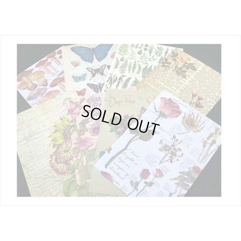 画像3: 植物と蝶々＊いろいろ100点セット💓＊海外製