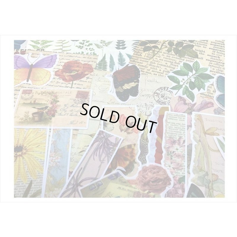 画像9: 植物と蝶々＊いろいろ100点セット💓＊海外製