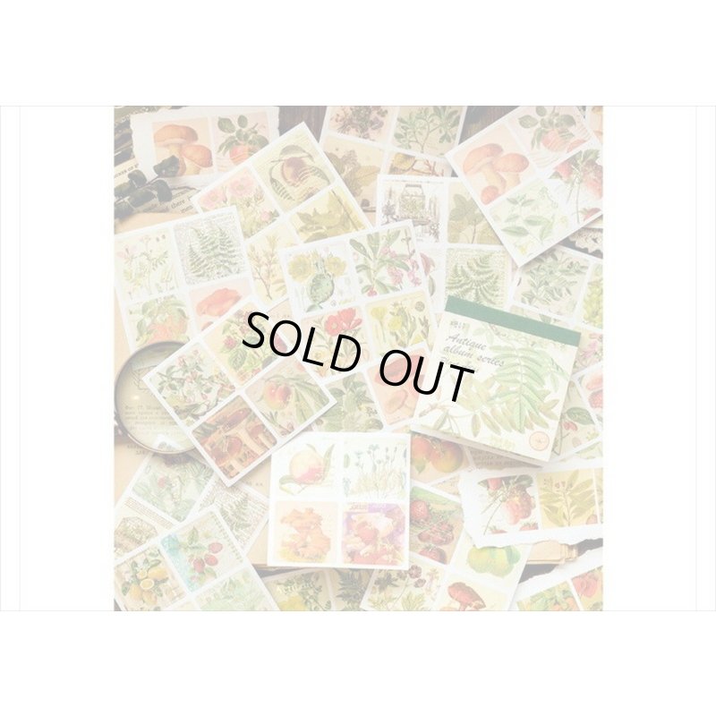 画像16: 箔押し☆和紙シール帳＊植物＊カット入り＊柄違い＊20シート＊海外製