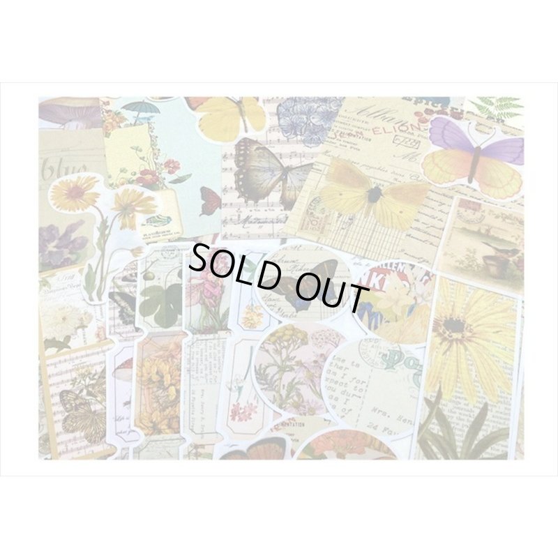 画像7: 植物と蝶々＊いろいろ100点セット💓＊海外製