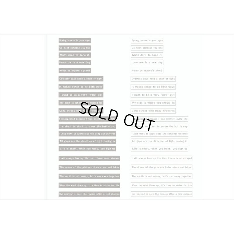 画像3: 2種＊一行英文＊ステッカー＊行間＊40枚＊海外製