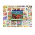 画像1: 箔押し☆和紙シール帳＊花＊カット入り＊柄違い＊20シート＊海外製 (1)