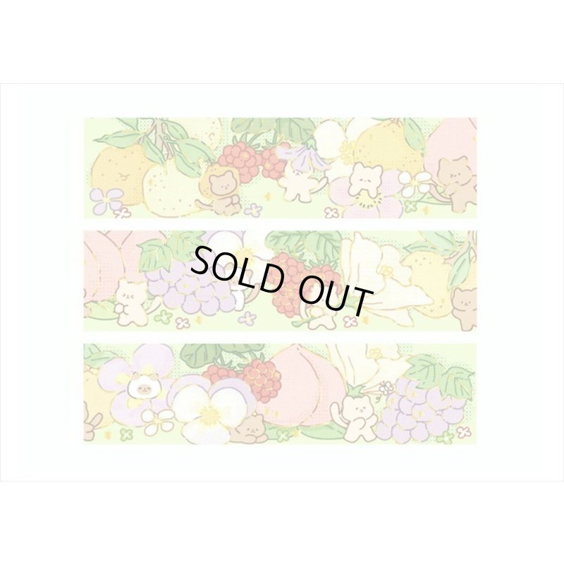 画像8: ネコのフルーツ狩り🍇＊わいわいアニマル＊箔押し＊マスキングテープ＊はく離式＊海外マステ　クリックポスト不可