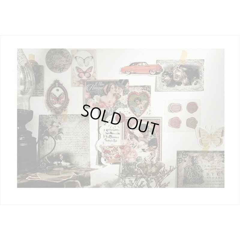 画像11: パッケージがオシャレな素材100点セット＊白鳥＊ペーパー＆シール＊海外製