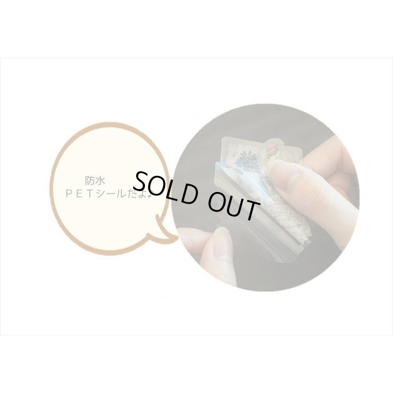 画像10: 防水＊PETシール＊ブルー＊ファッションモデル＊30枚♪＊海外製