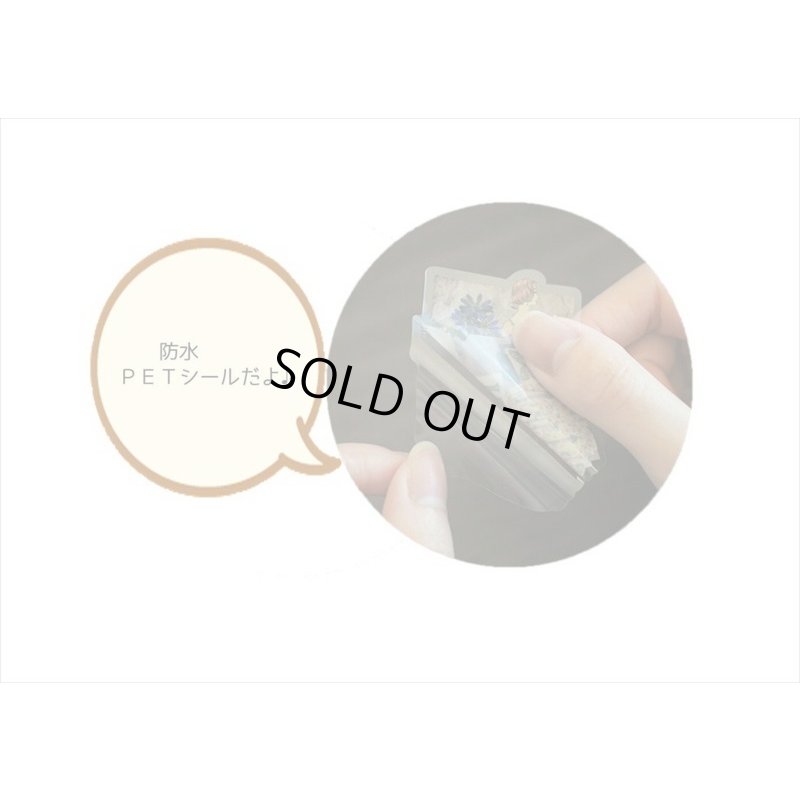 画像9: 防水＊PETシール＊ピンク＊ファッションモデル＊30枚♪＊海外製