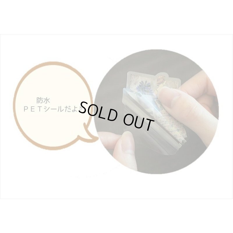 画像11: 防水＊PETシール＊レッド＊ファッションモデル＊30枚♪＊海外製