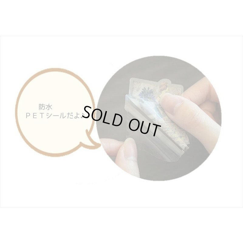 画像10: 防水＊PETシール＊グリーン＊ファッションモデル＊30枚♪＊海外製