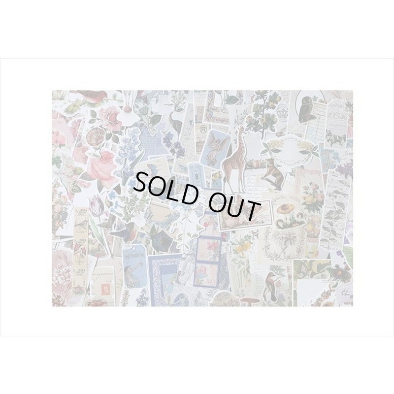 画像14: 花と鳥の素材紙＊200点セット＊パープル＊和紙シール＊海外製